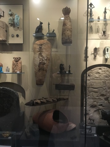 Animal Mummies on display